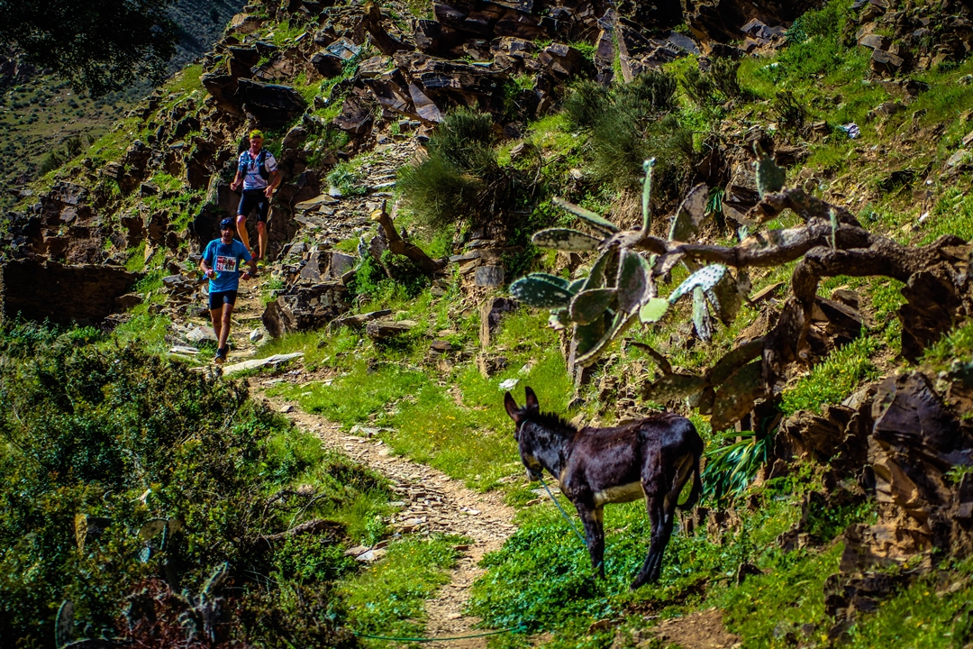 Action environnementale menée par Trail Maroc